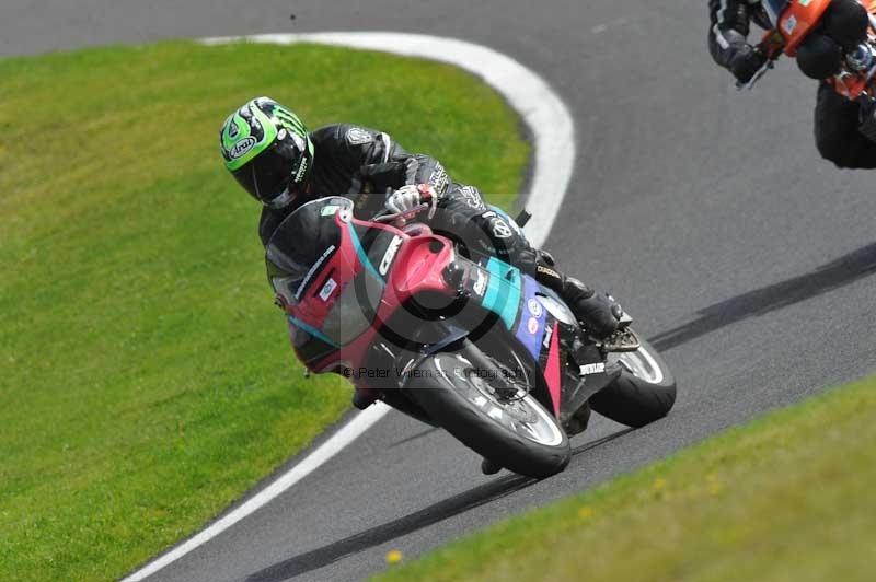 cadwell no limits trackday;cadwell park;cadwell park photographs;cadwell trackday photographs;enduro digital images;event digital images;eventdigitalimages;no limits trackdays;peter wileman photography;racing digital images;trackday digital images;trackday photos