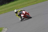 Motorcycle-action-photographs;anglesey-circuit;anglesey-trackday-photographs;event-digital-images;eventdigitalimages;no-limits-trackday;oulton-park-circuit-cheshire;peter-wileman-photography;trackday;trackday-digital-images;trackday-photos;ty-croes-circuit-wales