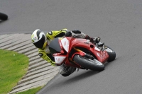 Motorcycle-action-photographs;anglesey-circuit;anglesey-trackday-photographs;event-digital-images;eventdigitalimages;no-limits-trackday;oulton-park-circuit-cheshire;peter-wileman-photography;trackday;trackday-digital-images;trackday-photos;ty-croes-circuit-wales