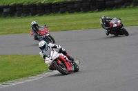 Motorcycle-action-photographs;anglesey-circuit;anglesey-trackday-photographs;event-digital-images;eventdigitalimages;no-limits-trackday;oulton-park-circuit-cheshire;peter-wileman-photography;trackday;trackday-digital-images;trackday-photos;ty-croes-circuit-wales