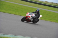 Motorcycle-action-photographs;anglesey-circuit;anglesey-trackday-photographs;event-digital-images;eventdigitalimages;no-limits-trackday;oulton-park-circuit-cheshire;peter-wileman-photography;trackday;trackday-digital-images;trackday-photos;ty-croes-circuit-wales