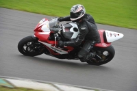 Motorcycle-action-photographs;anglesey-circuit;anglesey-trackday-photographs;event-digital-images;eventdigitalimages;no-limits-trackday;oulton-park-circuit-cheshire;peter-wileman-photography;trackday;trackday-digital-images;trackday-photos;ty-croes-circuit-wales