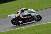 Motorcycle-action-photographs;anglesey-circuit;anglesey-trackday-photographs;event-digital-images;eventdigitalimages;no-limits-trackday;oulton-park-circuit-cheshire;peter-wileman-photography;trackday;trackday-digital-images;trackday-photos;ty-croes-circuit-wales