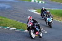 anglesey;brands-hatch;cadwell-park;croft;donington-park;enduro-digital-images;event-digital-images;eventdigitalimages;mallory;no-limits;oulton-park;peter-wileman-photography;racing-digital-images;silverstone;snetterton;trackday-digital-images;trackday-photos;vmcc-banbury-run;welsh-2-day-enduro