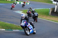anglesey;brands-hatch;cadwell-park;croft;donington-park;enduro-digital-images;event-digital-images;eventdigitalimages;mallory;no-limits;oulton-park;peter-wileman-photography;racing-digital-images;silverstone;snetterton;trackday-digital-images;trackday-photos;vmcc-banbury-run;welsh-2-day-enduro