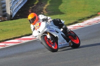 FAST BLUE/WHITE BIKES