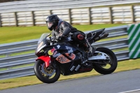 anglesey;brands-hatch;cadwell-park;croft;donington-park;enduro-digital-images;event-digital-images;eventdigitalimages;mallory;no-limits;no-limits-trackdays;oulton-no-limits-trackday;oulton-park;oulton-park-cheshire;oulton-trackday-photographs;peter-wileman-photography;racing-digital-images;silverstone;snetterton;trackday-digital-images;trackday-photos;vmcc-banbury-run;welsh-2-day-enduro