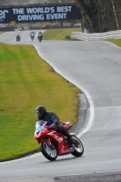 anglesey;brands-hatch;cadwell-park;croft;donington-park;enduro-digital-images;event-digital-images;eventdigitalimages;mallory;no-limits;no-limits-trackdays;oulton-no-limits-trackday;oulton-park;oulton-park-cheshire;oulton-trackday-photographs;peter-wileman-photography;racing-digital-images;silverstone;snetterton;trackday-digital-images;trackday-photos;vmcc-banbury-run;welsh-2-day-enduro