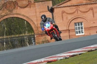 anglesey;brands-hatch;cadwell-park;croft;donington-park;enduro-digital-images;event-digital-images;eventdigitalimages;mallory;no-limits;no-limits-trackdays;oulton-no-limits-trackday;oulton-park;oulton-park-cheshire;oulton-trackday-photographs;peter-wileman-photography;racing-digital-images;silverstone;snetterton;trackday-digital-images;trackday-photos;vmcc-banbury-run;welsh-2-day-enduro