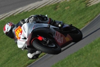 FAST MULTICOLOUR BIKES