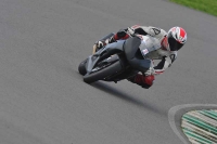 Motorcycle-action-photographs;anglesey-circuit;anglesey-trackday-photographs;event-digital-images;eventdigitalimages;no-limits-trackday;oulton-park-circuit-cheshire;peter-wileman-photography;trackday;trackday-digital-images;trackday-photos;ty-croes-circuit-wales