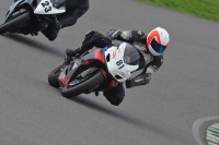 Motorcycle-action-photographs;anglesey-circuit;anglesey-trackday-photographs;event-digital-images;eventdigitalimages;no-limits-trackday;oulton-park-circuit-cheshire;peter-wileman-photography;trackday;trackday-digital-images;trackday-photos;ty-croes-circuit-wales