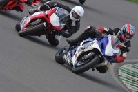Motorcycle-action-photographs;anglesey-circuit;anglesey-trackday-photographs;event-digital-images;eventdigitalimages;no-limits-trackday;oulton-park-circuit-cheshire;peter-wileman-photography;trackday;trackday-digital-images;trackday-photos;ty-croes-circuit-wales