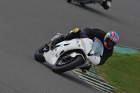 Motorcycle-action-photographs;anglesey-circuit;anglesey-trackday-photographs;event-digital-images;eventdigitalimages;no-limits-trackday;oulton-park-circuit-cheshire;peter-wileman-photography;trackday;trackday-digital-images;trackday-photos;ty-croes-circuit-wales