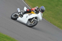 Motorcycle-action-photographs;anglesey-circuit;anglesey-trackday-photographs;event-digital-images;eventdigitalimages;no-limits-trackday;oulton-park-circuit-cheshire;peter-wileman-photography;trackday;trackday-digital-images;trackday-photos;ty-croes-circuit-wales