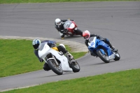 Motorcycle-action-photographs;anglesey-circuit;anglesey-trackday-photographs;event-digital-images;eventdigitalimages;no-limits-trackday;oulton-park-circuit-cheshire;peter-wileman-photography;trackday;trackday-digital-images;trackday-photos;ty-croes-circuit-wales
