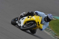 Motorcycle-action-photographs;anglesey-circuit;anglesey-trackday-photographs;event-digital-images;eventdigitalimages;no-limits-trackday;oulton-park-circuit-cheshire;peter-wileman-photography;trackday;trackday-digital-images;trackday-photos;ty-croes-circuit-wales
