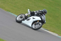 Motorcycle-action-photographs;anglesey-circuit;anglesey-trackday-photographs;event-digital-images;eventdigitalimages;no-limits-trackday;oulton-park-circuit-cheshire;peter-wileman-photography;trackday;trackday-digital-images;trackday-photos;ty-croes-circuit-wales