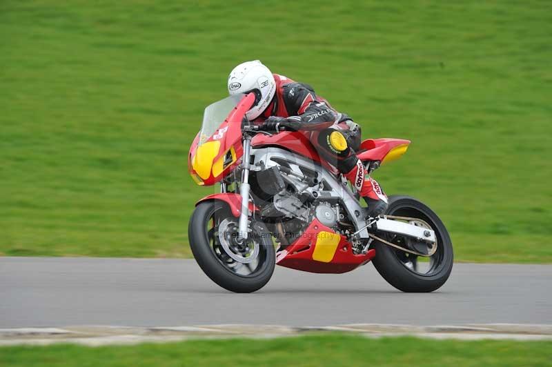 Motorcycle action photographs;anglesey circuit;anglesey trackday photographs;event digital images;eventdigitalimages;no limits trackday;oulton park circuit cheshire;peter wileman photography;trackday;trackday digital images;trackday photos;ty croes circuit wales