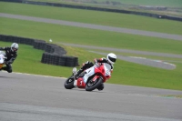 Motorcycle-action-photographs;anglesey-circuit;anglesey-trackday-photographs;event-digital-images;eventdigitalimages;no-limits-trackday;oulton-park-circuit-cheshire;peter-wileman-photography;trackday;trackday-digital-images;trackday-photos;ty-croes-circuit-wales