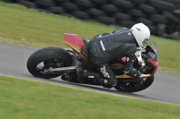 Motorcycle-action-photographs;anglesey-circuit;anglesey-trackday-photographs;event-digital-images;eventdigitalimages;no-limits-trackday;oulton-park-circuit-cheshire;peter-wileman-photography;trackday;trackday-digital-images;trackday-photos;ty-croes-circuit-wales