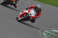 Motorcycle-action-photographs;anglesey-circuit;anglesey-trackday-photographs;event-digital-images;eventdigitalimages;no-limits-trackday;oulton-park-circuit-cheshire;peter-wileman-photography;trackday;trackday-digital-images;trackday-photos;ty-croes-circuit-wales
