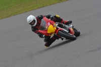 Motorcycle-action-photographs;anglesey-circuit;anglesey-trackday-photographs;event-digital-images;eventdigitalimages;no-limits-trackday;oulton-park-circuit-cheshire;peter-wileman-photography;trackday;trackday-digital-images;trackday-photos;ty-croes-circuit-wales