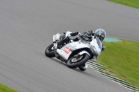 Motorcycle-action-photographs;anglesey-circuit;anglesey-trackday-photographs;event-digital-images;eventdigitalimages;no-limits-trackday;oulton-park-circuit-cheshire;peter-wileman-photography;trackday;trackday-digital-images;trackday-photos;ty-croes-circuit-wales