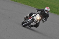 Motorcycle-action-photographs;anglesey-circuit;anglesey-trackday-photographs;event-digital-images;eventdigitalimages;no-limits-trackday;oulton-park-circuit-cheshire;peter-wileman-photography;trackday;trackday-digital-images;trackday-photos;ty-croes-circuit-wales