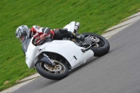 Motorcycle-action-photographs;anglesey-circuit;anglesey-trackday-photographs;event-digital-images;eventdigitalimages;no-limits-trackday;oulton-park-circuit-cheshire;peter-wileman-photography;trackday;trackday-digital-images;trackday-photos;ty-croes-circuit-wales