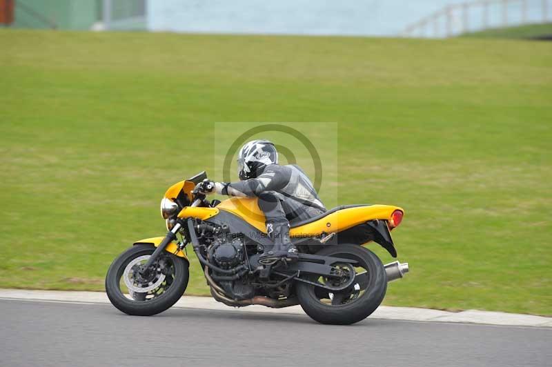 Motorcycle action photographs;anglesey circuit;anglesey trackday photographs;event digital images;eventdigitalimages;no limits trackday;oulton park circuit cheshire;peter wileman photography;trackday;trackday digital images;trackday photos;ty croes circuit wales