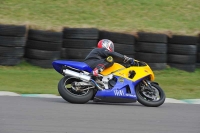Motorcycle-action-photographs;anglesey-circuit;anglesey-trackday-photographs;event-digital-images;eventdigitalimages;no-limits-trackday;oulton-park-circuit-cheshire;peter-wileman-photography;trackday;trackday-digital-images;trackday-photos;ty-croes-circuit-wales