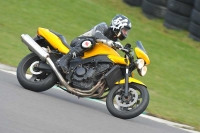 Motorcycle-action-photographs;anglesey-circuit;anglesey-trackday-photographs;event-digital-images;eventdigitalimages;no-limits-trackday;oulton-park-circuit-cheshire;peter-wileman-photography;trackday;trackday-digital-images;trackday-photos;ty-croes-circuit-wales