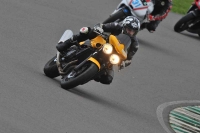 Motorcycle-action-photographs;anglesey-circuit;anglesey-trackday-photographs;event-digital-images;eventdigitalimages;no-limits-trackday;oulton-park-circuit-cheshire;peter-wileman-photography;trackday;trackday-digital-images;trackday-photos;ty-croes-circuit-wales