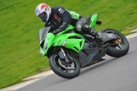 Motorcycle-action-photographs;anglesey-circuit;anglesey-trackday-photographs;event-digital-images;eventdigitalimages;no-limits-trackday;oulton-park-circuit-cheshire;peter-wileman-photography;trackday;trackday-digital-images;trackday-photos;ty-croes-circuit-wales