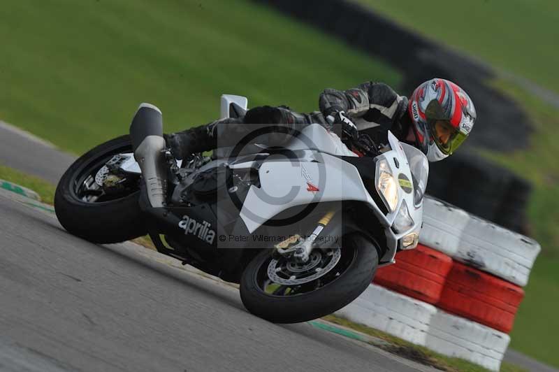 Motorcycle action photographs;anglesey circuit;anglesey trackday photographs;event digital images;eventdigitalimages;no limits trackday;oulton park circuit cheshire;peter wileman photography;trackday;trackday digital images;trackday photos;ty croes circuit wales