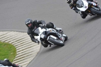 Motorcycle-action-photographs;anglesey-circuit;anglesey-trackday-photographs;event-digital-images;eventdigitalimages;no-limits-trackday;oulton-park-circuit-cheshire;peter-wileman-photography;trackday;trackday-digital-images;trackday-photos;ty-croes-circuit-wales