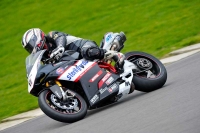 Motorcycle-action-photographs;anglesey-circuit;anglesey-trackday-photographs;event-digital-images;eventdigitalimages;no-limits-trackday;oulton-park-circuit-cheshire;peter-wileman-photography;trackday;trackday-digital-images;trackday-photos;ty-croes-circuit-wales