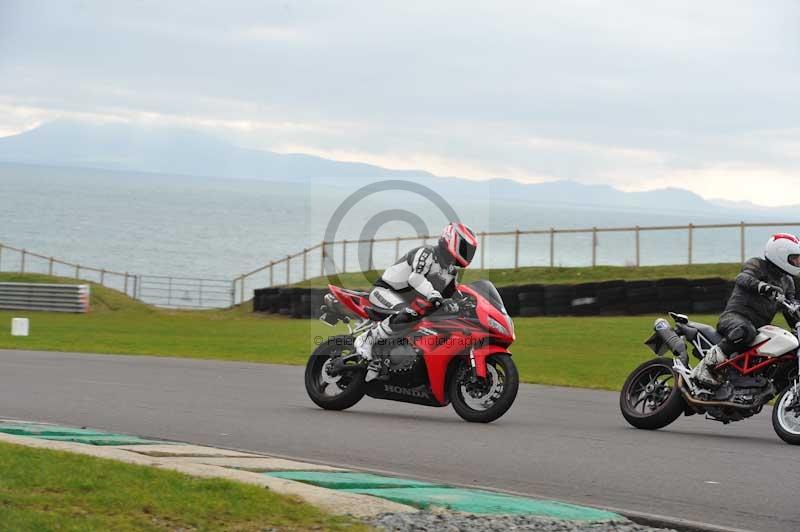 Motorcycle action photographs;anglesey circuit;anglesey trackday photographs;event digital images;eventdigitalimages;no limits trackday;oulton park circuit cheshire;peter wileman photography;trackday;trackday digital images;trackday photos;ty croes circuit wales