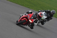 Motorcycle-action-photographs;anglesey-circuit;anglesey-trackday-photographs;event-digital-images;eventdigitalimages;no-limits-trackday;oulton-park-circuit-cheshire;peter-wileman-photography;trackday;trackday-digital-images;trackday-photos;ty-croes-circuit-wales