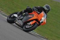 Motorcycle-action-photographs;anglesey-circuit;anglesey-trackday-photographs;event-digital-images;eventdigitalimages;no-limits-trackday;oulton-park-circuit-cheshire;peter-wileman-photography;trackday;trackday-digital-images;trackday-photos;ty-croes-circuit-wales