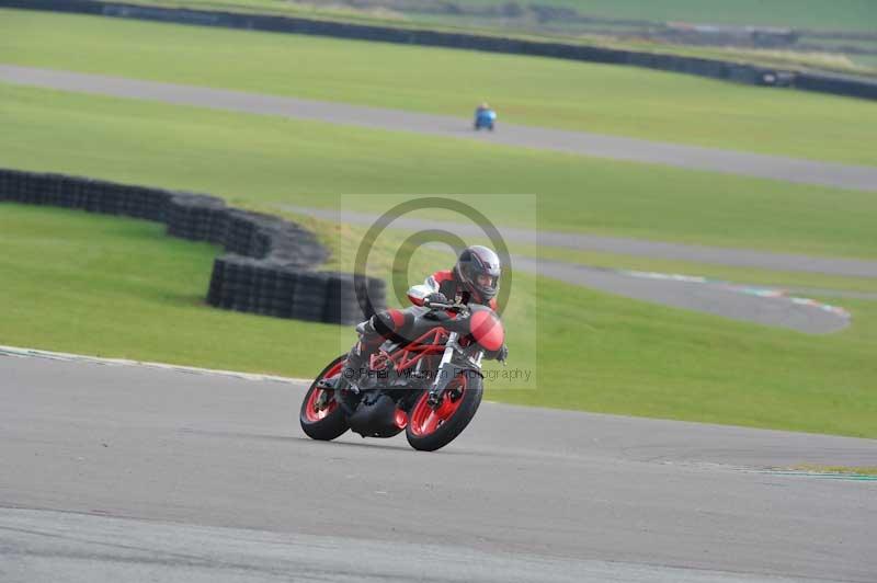 Motorcycle action photographs;anglesey circuit;anglesey trackday photographs;event digital images;eventdigitalimages;no limits trackday;oulton park circuit cheshire;peter wileman photography;trackday;trackday digital images;trackday photos;ty croes circuit wales