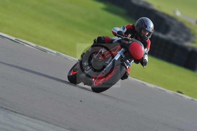 Motorcycle action photographs;anglesey circuit;anglesey trackday photographs;event digital images;eventdigitalimages;no limits trackday;oulton park circuit cheshire;peter wileman photography;trackday;trackday digital images;trackday photos;ty croes circuit wales