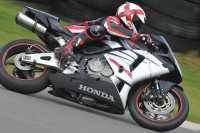 Motorcycle-action-photographs;anglesey-circuit;anglesey-trackday-photographs;event-digital-images;eventdigitalimages;no-limits-trackday;oulton-park-circuit-cheshire;peter-wileman-photography;trackday;trackday-digital-images;trackday-photos;ty-croes-circuit-wales