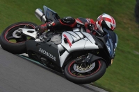 Motorcycle-action-photographs;anglesey-circuit;anglesey-trackday-photographs;event-digital-images;eventdigitalimages;no-limits-trackday;oulton-park-circuit-cheshire;peter-wileman-photography;trackday;trackday-digital-images;trackday-photos;ty-croes-circuit-wales