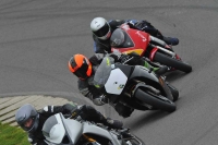Motorcycle-action-photographs;anglesey-circuit;anglesey-trackday-photographs;event-digital-images;eventdigitalimages;no-limits-trackday;oulton-park-circuit-cheshire;peter-wileman-photography;trackday;trackday-digital-images;trackday-photos;ty-croes-circuit-wales
