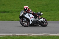 Motorcycle-action-photographs;anglesey-circuit;anglesey-trackday-photographs;event-digital-images;eventdigitalimages;no-limits-trackday;oulton-park-circuit-cheshire;peter-wileman-photography;trackday;trackday-digital-images;trackday-photos;ty-croes-circuit-wales