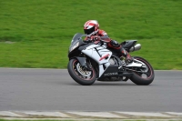 Motorcycle-action-photographs;anglesey-circuit;anglesey-trackday-photographs;event-digital-images;eventdigitalimages;no-limits-trackday;oulton-park-circuit-cheshire;peter-wileman-photography;trackday;trackday-digital-images;trackday-photos;ty-croes-circuit-wales