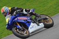Motorcycle-action-photographs;anglesey-circuit;anglesey-trackday-photographs;event-digital-images;eventdigitalimages;no-limits-trackday;oulton-park-circuit-cheshire;peter-wileman-photography;trackday;trackday-digital-images;trackday-photos;ty-croes-circuit-wales