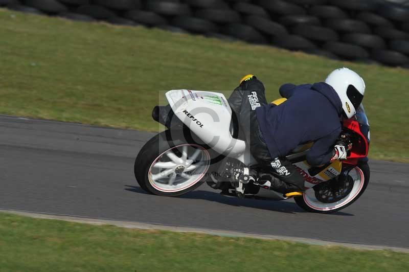 Motorcycle action photographs;anglesey circuit;anglesey trackday photographs;event digital images;eventdigitalimages;no limits trackday;oulton park circuit cheshire;peter wileman photography;trackday;trackday digital images;trackday photos;ty croes circuit wales